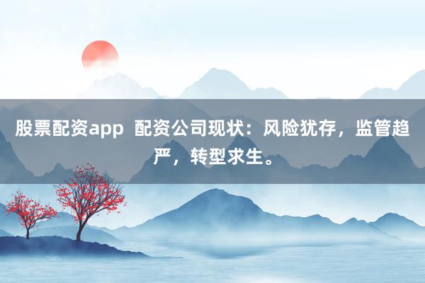 股票配资app  配资公司现状：风险犹存，监管趋严，转型求生。