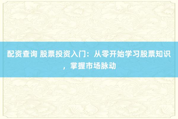 配资查询 股票投资入门：从零开始学习股票知识，掌握市场脉动