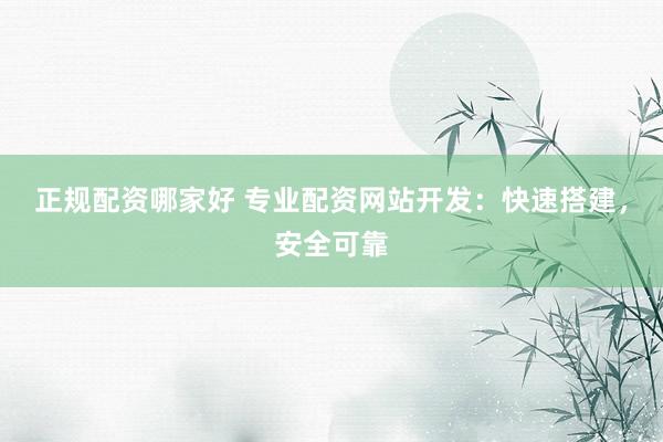 正规配资哪家好 专业配资网站开发：快速搭建，安全可靠
