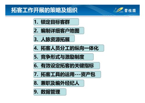 碧桂园营销模式总结 做房地产真正的经营者