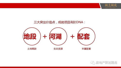 策划 房地产营销策划提案